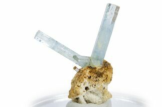 Gemmy Aquamarine Crystals on Feldspar - Erongo Mountains, Namibia #346205