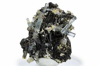 Gemmy Aquamarine and Schorl Crystals on Feldspar - Namibia #346207