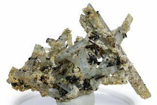 Aquamarine Crystal Spray w/ Schorl and Feldspar - Namibia #346210