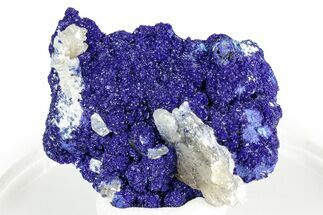 Cerussite Crystals on Sparkling Azurite - Congo #346136