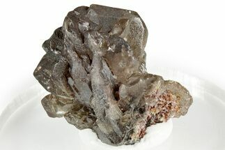 Lustrous Cerussite Crystal Cluster - Congo #346175