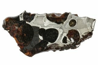 Sericho Pallasite Meteorite ( g) Slice - Kenya #346435