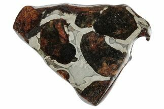 Sericho Pallasite Meteorite ( g) Slice - Kenya #346439