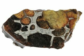 Sericho Pallasite Meteorite ( g) Slice - Kenya #346442