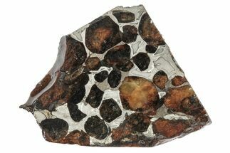 Sericho Pallasite Meteorite ( g) Slice - Kenya #346453