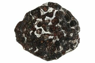 Sericho Pallasite Meteorite ( g) Slice - Kenya #346464