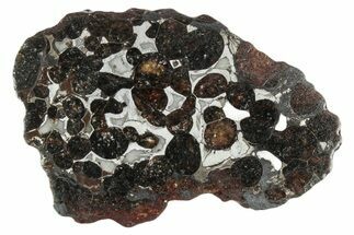 Sericho Pallasite Meteorite ( g) Slice - Kenya #346467