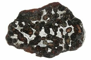 Pallasites For Sale