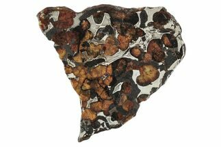 Sericho Pallasite Meteorite ( g) Slice - Kenya #346471