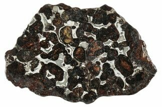 Sericho Pallasite Meteorite ( g) Slice - Kenya #346473