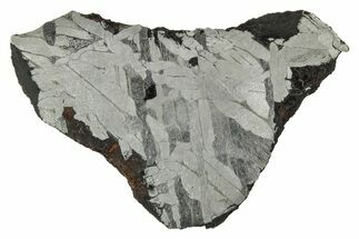 Etched Toluca Iron Meteorite ( g) Slice - Mexico #346484