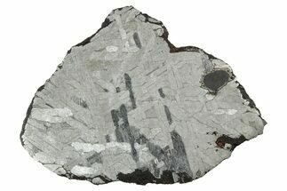 Etched Toluca Iron Meteorite ( g) Slice - Mexico #346488