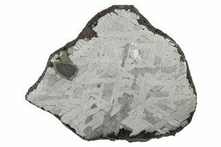 Etched Toluca Iron Meteorite ( g) Slice - Mexico #346491