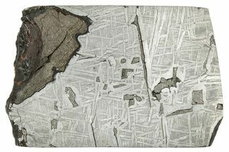 Etched Saint-Aubin Iron Meteorite Slice ( g) - France #346526