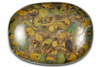 Polished Fruit Jasper Palm Stone - India #343186