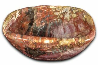 Colorful Polished Petrified Wood Bowl - Madagascar #346821
