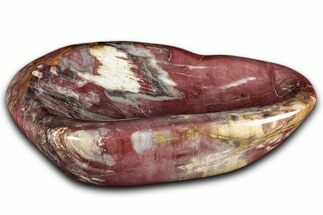 Colorful Polished Petrified Wood Bowl - Madagascar #346827