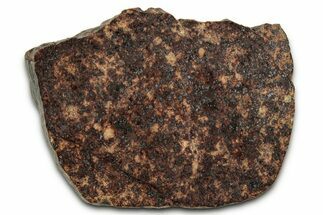 Chondrite Meteorite Section ( g) - NWA #347084