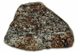 Chondrite Meteorite Section ( g) - NWA #347086