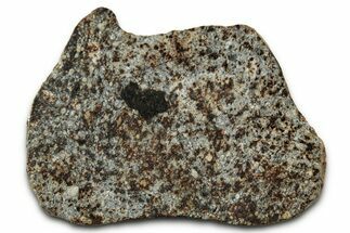 Chondrite Meteorite Section ( g) - NWA #347087