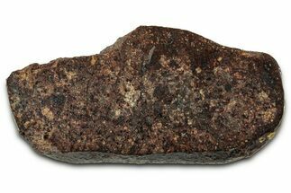 Chondrite Meteorite Section ( g) - NWA #347088