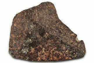 Chondrite Meteorite Section ( g) - NWA #347089
