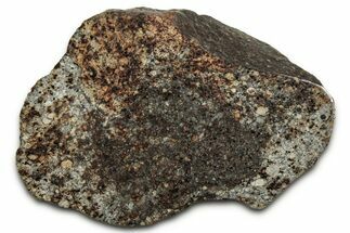 Chondrite Meteorite Section ( g) - NWA #347091