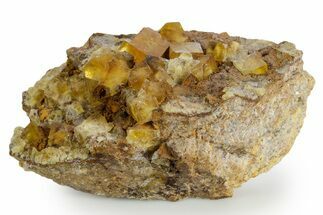 Yellow Cubic Fluorite Crystal Cluster on Matrix - Morocco #347791