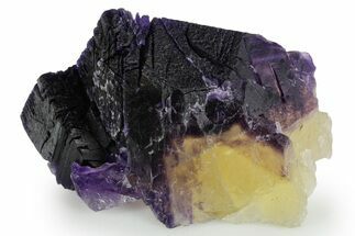 Yellow & Purple Bicolor Fluorite Crystal - Cave-in-Rock, Illinois #347820
