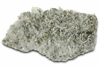 Glittering Pyrite Crystals on Quartz - Peru #347639