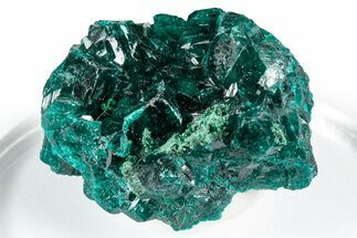 Sparkly Emerald-Green Dioptase With Malachite - Congo #347851