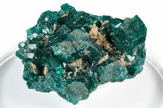 Sparkly Emerald-Green Dioptase Crystal Cluster - Congo #347855