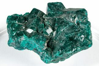 Sparkly Emerald-Green Dioptase Crystal Cluster - Congo #347860