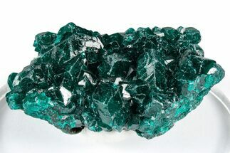 Sparkly Emerald-Green Dioptase Crystal Cluster - Congo #347866