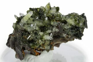 Sharp Axinite Crystal Cluster with Green Epidote & Quartz - Peru #347874