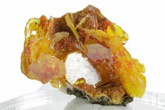 Botryoidal Orange Mimetite on Windowpane Wulfenite - Mexico #347999