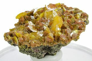 Botryoidal Orange Mimetite on Windowpane Wulfenite - Mexico #348005