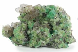Apple-Green Fluorite Crystals with Smoky Quartz - Fluorescent! #348144
