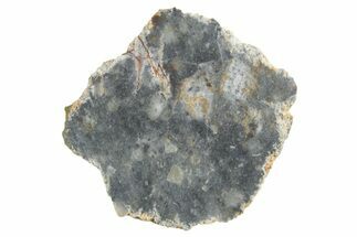 Lunar Meteorite ( g) Slice - Bechar #348166