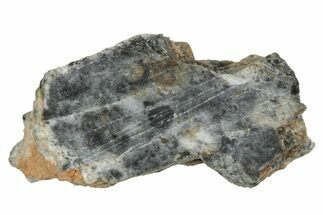 Lunar Meteorite ( g) Section - Bechar #348210