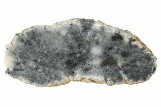 Lunar Meteorite ( g) Section - Bechar #348212