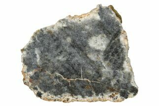 Lunar Meteorite ( g) Slice - Bechar #348213