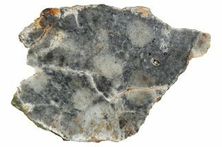 Lunar Meteorite ( g) Slice - Bechar #348219