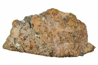 Howardite Meteorite ( g) - Bechar #348282