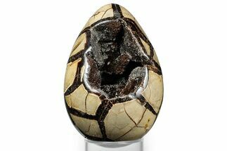 Septarian Dragon Egg Geode - Sparkly Black Crystals #348453