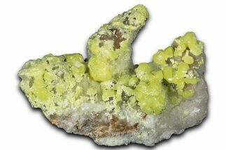 Striking Yellow Native Sulfur Crystals - Mexico #348455