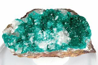 Gemmy Emerald-Green Dioptase Crystals on Calcite - Congo #348536