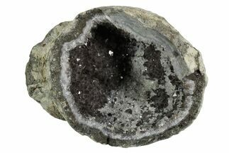 Las Choyas Coconut Geode Half with Smoky Quartz - Mexico #348472