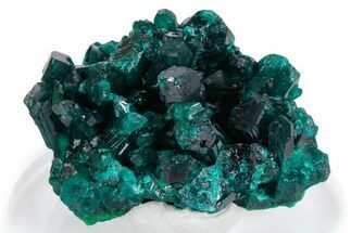 Lustrous Dioptase Crystal Cluster - Congo #348541