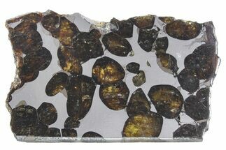 Polished Sericho Pallasite Meteorite ( g) Slice - Kenya #348925